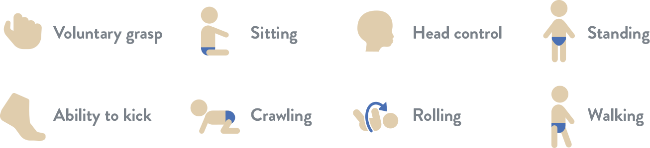8 motor milestones scored in Hammersmith Infant Neurological Examination (HINE) Section 2